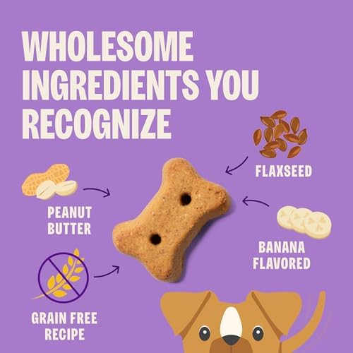 Wellness Old Mother Hubbard Classic Grain Free P-Nuttier'n Nanners Dog Biscuits, Natural Training Treats, Peanut Butter and Banana Flavor, Mini Size. 16 oz Bag
