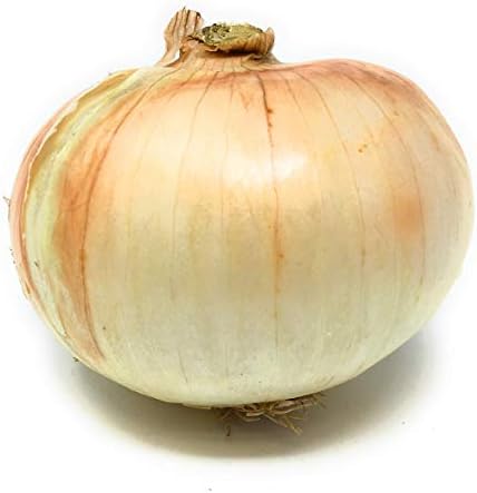 Onion Vidalia Bulb Conventional, 1 Each