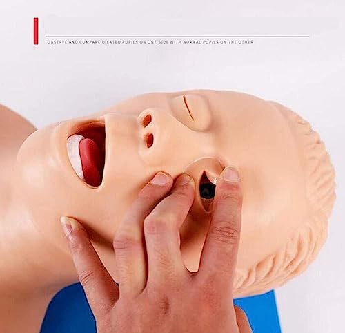 CHROX PVC Human Tracheal Intubation Training Model, Adult Tracheal Intubation Operation Simulator, Used for Science Lab Education(with Alarm)