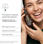 Dr Sosnowski's Mullein Drops for Lungs 120ml | 1200mg High Strength Mullein Leaf Extract with 600mg Licorice Root for Daily Routine, Flavonoid Support, Saponin Balance | 2 Months Supply