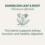 Traditional Medicinals Organic, Dandelion Leaf & Root - Dandelion Root Tea, Supports Normal Detox + Digestion - Kosher, Non-GMO, Caffeine-Free, Compostable - 16 Tea Bags