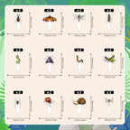 24pcs Insect Cupcake Toppers Set Bug Theme Happy Birthday Ladybug Beetle Decorations, Insect Theme Party, Boys and Girls Birthday Party or Baby Shower Decoration, Birthday Gift for Kids. LIANGSS