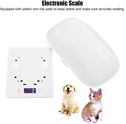 Weight Scale Multifunction Portable Electronic 10kg/1g Digital Small Pet Cats Dogs Measure Tool Kitchen Scale