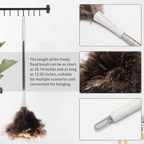 Feather Duster, Ostrich Feather Duster Replacement Head, Reusable Ostrich Feather Duster, Brown (Replacement Head Only)
