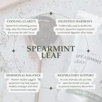 Organic Spearmint Leaves 4 oz. (113g), USDA Certified Organic Spearmint Tea Dried Loose Leaf, Dry Mint, Cut & Sifted