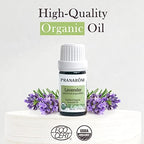 Pranarom USDA Certified Organic Lavender Essential Oil (5ml), 100% Pure Undiluted Therapeutic Grade from French Alps for Aromatherapy, Diffuser, Healthy Skin & Hair, Massage, Relaxation