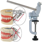 Typodont Teeth Model Teeth Model Training Mount Fixed on Desk Training Manikin Dental Schools Education Practical 360° Motion (Practice Model Holder)