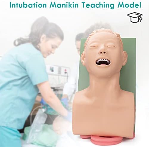 Intubation Manikin Teaching Model, 110V Adult Airway Management Trainer Tracheal Intubation Training Simulator Model, Science Lab Education Training