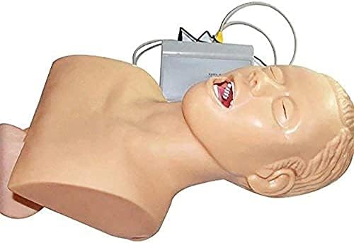 CHROX PVC Training Model Human Teaching Tracheal Intubation Model, Trainer Airway Management Simulator Model with Dental Pressure