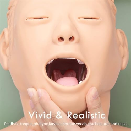 Adult Intubation Manikin Model, Oral Nasal Tracheal Intubation Simulation Airway Management Trainer for Professional Nurse Emergency Education