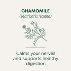 Traditional Medicinals Organic, Chamomile Tea - Supports Stress Relief and Relaxation - Kosher, Non-GMO, Caffeine-Free, Compostable - 16 Tea Bags
