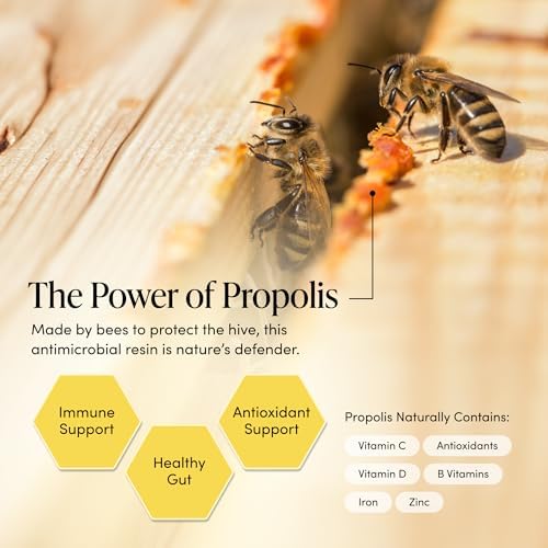 Propolis Throat Spray by Beekeeper's Naturals - 95% Bee Propolis Extract, Natural Immune Support & Sore Throat Relief - Antioxidants, Keto, Paleo, Gluten-Free (1.0 oz)(Pack of 1)