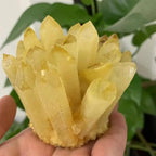 Stone Citrine Phantom Quartz Crystal Cluster (750-800g)