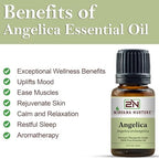 Angelica Essential Oil, 100% Pure Undiluted, Aromatherapy Oil for Diffuser, Hair & Skin Care
