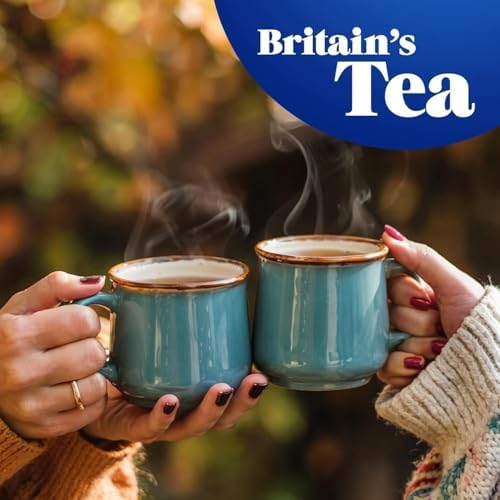 Tetley Herbal Fresh Mint 20 Tea Bags