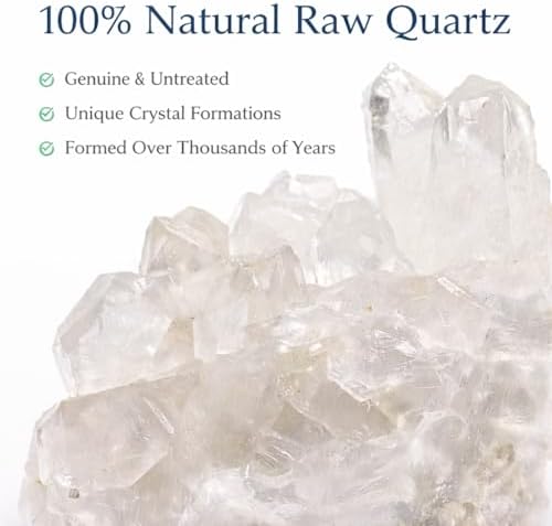 Natural Clear Quartz Crystal Cluster – Raw Quartz Druze Stone for Meditation, Reiki Healing, Chakra Energy, Spiritual Cleansing, Home Decor & Crystal Collection (1.25–2")