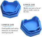 Dental Model Base Former Kit Impression Trays Dental Lab Plaster Mold Base Forming Set (6Pcs/Set)
