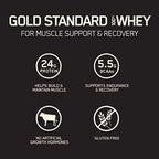 Optimum Nutrition Gold Standard 100% Whey Protein Powder, Double Rich Chocolate 10 Pound (Packaging May Vary)