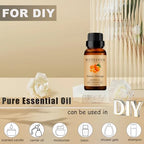 Sweet-Orange Essential Oils 10ML, 100% Pure and Natural Essential Oil for Aromatherapy Diffuser - 0.33 Fl Oz/Sweet-Orange
