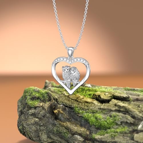 Diamond Owl Necklace for Women 925 Sterling Silver Heart Owl Pendant Necklace Two Owl Animal Jewelry Gifts for Mom Wife Girlfriend Daughter Sister Her