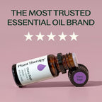 Plant Therapy Clary Sage Essential Oil 100% Pure, Undiluted, Natural Aromatherapy, Therapeutic Grade 10 mL (1/3 oz)
