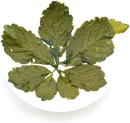 GOARTEA 4Pcs 250g / 35.2oz Premium Seven Leaf Jiaogulan Gynostemma Chinese Herbal GREEN TEA Loose Leaf