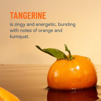 Liquid I.V.® Hydration Multiplier +Immune Support - Tangerine | Electrolyte Powder Drink Mix | 1 Pack (14 Servings)