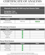 Vitamatic Vitamin B12 1000 mcg Fast Dissolve – 365 Tablets – Natural Berry Flavor – Supports Energy Metabolism & Nervous System Health