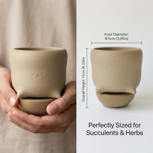 Funny Toilet Tray Flower Pot - 1Pcs Creative Mocha Ceramic Face Cactus Planter Pots Flower Container Cute Succulent Planter Pot with Drainage Tray for Garden Home Office Decor Plant Lover Gift