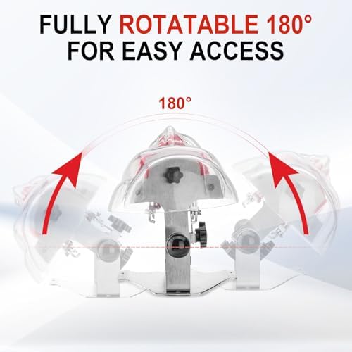 4E 4E'S USA Dental Manikin Simulator Phantom Head (28 Teeth)：Dental Mannequin Head with Detachable Teeth, 180-Degree Rotatable, Height Adjustable, Bandage Installation