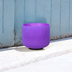 Purple B Note Crown Chakra 8 inch Quartz Crystal Singing Bowl, for Healing Mindfulness Meditation Yoga Sound Baths, with Case Rubber Mallet