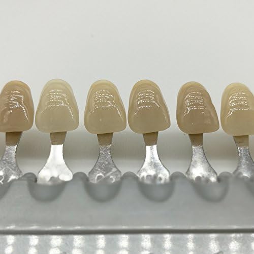 Shade Guide Porcelain Dental Dentist Materials 16 Colors Shade Guide Teeth, Dental Care And Teeth Whitening (Dental-16Color)