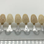 Shade Guide Porcelain Dental Dentist Materials 16 Colors Shade Guide Teeth, Dental Care And Teeth Whitening (Dental-16Color)