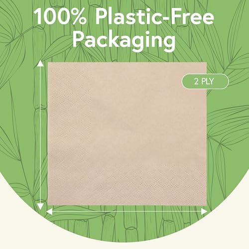 Everyday 100% Bamboo Compostable Napkins Disposable 250-Pack | Table Napkins Disposable for Lunch, Dinner,Events & Entertaining | 2-Ply FSC Certified | Compostable Paper Towels | 6.5 x 6.5Inch