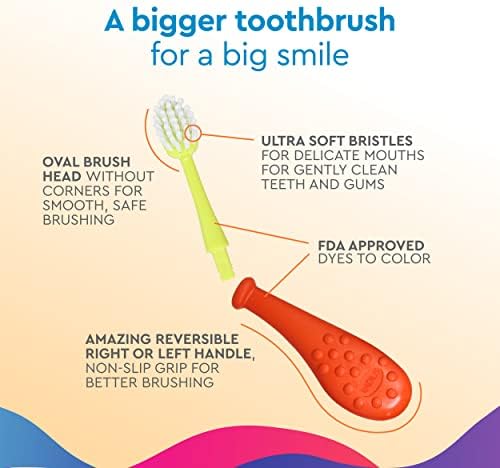 Radius Big Kidz Forever Brush with Replaceable Head Toothbrush for Children, 6 Years and Up, BPA Free ADA Accepted for Growing Teeth and Gums - Right and Left Handed, Extra Soft