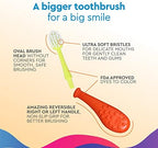 Radius Big Kidz Forever Brush Replaceable Head Toothbrush for Children, 6 Years and Up, BPA Free ADA Accepted for Growing Teeth and Gums - Right and Left Handed, Extra Soft