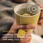 Pukka, Tea Lemon Ginger Manuka Honey Organic, 20 Count
