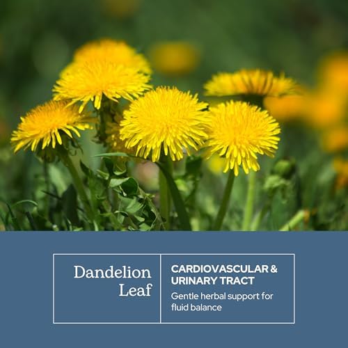 Eclectic Herb - Raw Freeze-Dried Dandelion Leaf Capsules | Supports Cleansing, Digestive Function & Heart Health | Natural Herbal Supplement | Organic, Non-GMO, Vegan, Whole Herb (90 CT | 200 mg)