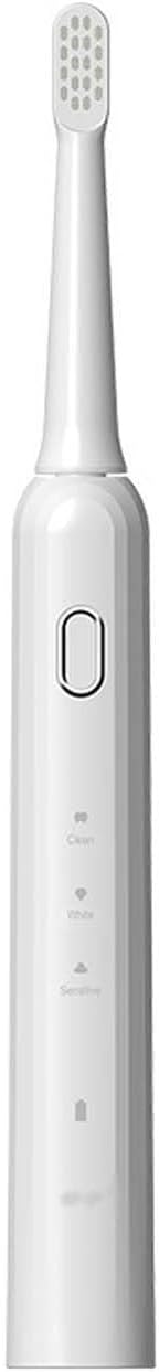 BNEI Sonic Electric Toothbrush, 3 Modes, 2-Min Smart Timer, 2 Replaceable Brush Heads, 27,000 Beats/Min, Black/Gray/Pink (Gray)