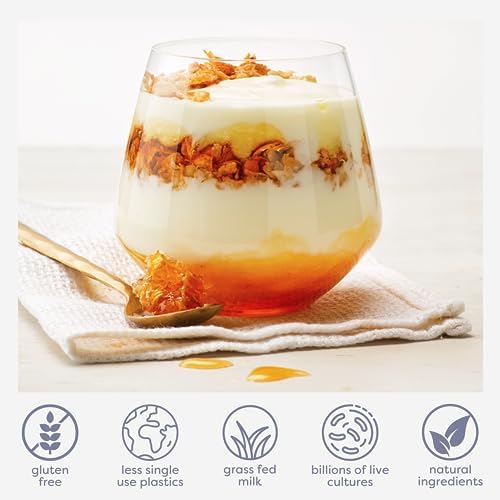 EasiYo Greek Style Manuka Honey Flavored Yogurt Base (6-pack, 42 Servings) with Live Cultures | Easy & Fresh Homemade Yogurt | Use with EasiYo Maker | New Zealand Milk from Grass Fed Cows