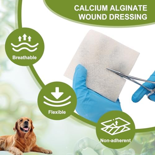 Calcium Alginate Wound Dressing Pads, 4'' x 4'' Patches [10 Individual Pack], High Absorbency Dressing, Soft Wound Care Products for Bedsore