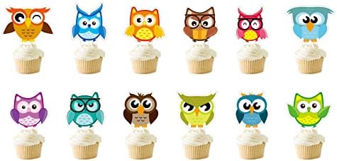 Owl Cupcake Toppers Party Supplies, Safari Jungle Animal Themed Party Cake Decorations for Kids (24pcs)
