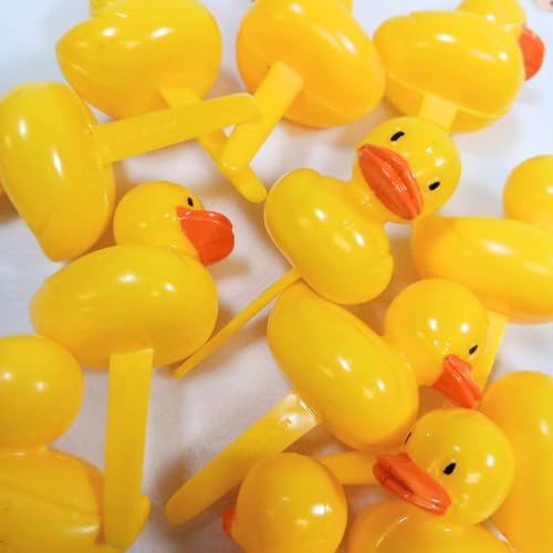 Oasis Supply Duck Picks, 12-Pack (Duck Pick (12 Count))
