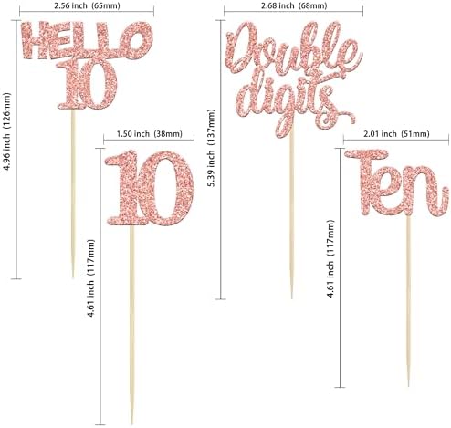 Gyufise 24 Pack Glitter 10th Birthday Cupcake Toppers Double Digits Cupcake Toppers Hello 10 Ten Cupcake Picks for 10th Birthday Party Cake Decorations Supplies