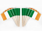 JAVD CYPS 100 Pcs Ireland Flag Irishman Toothpick Flags, Small Mini Stick Cupcake Toppers Irishman Flags,Country Picks Party Decoration Celebration Cocktail Food Bar Cake Flags