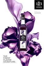 1883 Maison Routin Syrup for Drinks, Made in France, (33.8 Fl Oz, Lavender-)
