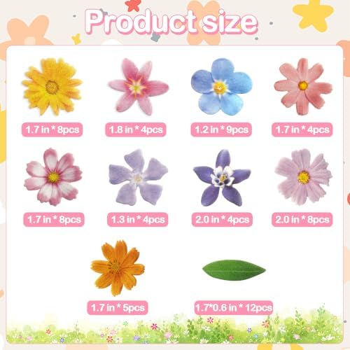 Morofme 60pcs Edible Flower Cake Decorations Wafer Paper Flowers Hawaiian Flower Leaves Cake Decor Daisy Cupcake Topper Mixed Size for Colourful Tropical Themed Baby Shower Birthday Party Supplies