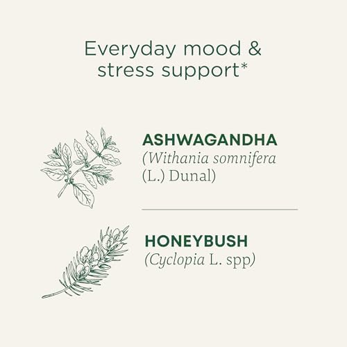 Traditional Medicinals Organic, Stress Ease Calm with Adaptogens, Ashwagandha & Honeybush - Promotes Relaxation - Kosher, Non-GMO, Caffeine-Free, Compostable - 16 Tea Bags