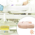 ZAIED Male and Female Manikin PVC Urinary Catheterization Model Nursing Practice Simulator Interchangeable Mannequin for Nursing Medical Training