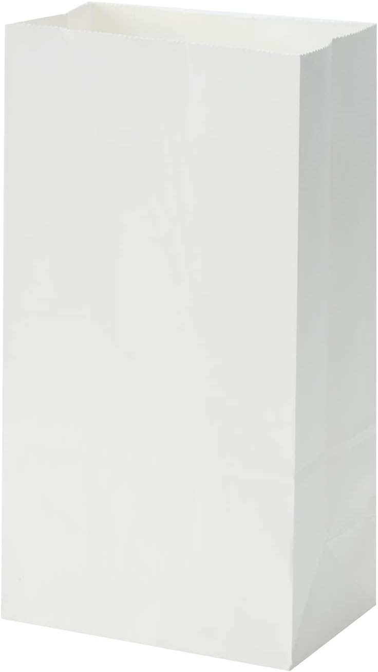 40 Count White Grocery Lunch Bag Kraft Paper Bags 4 lb Capacity